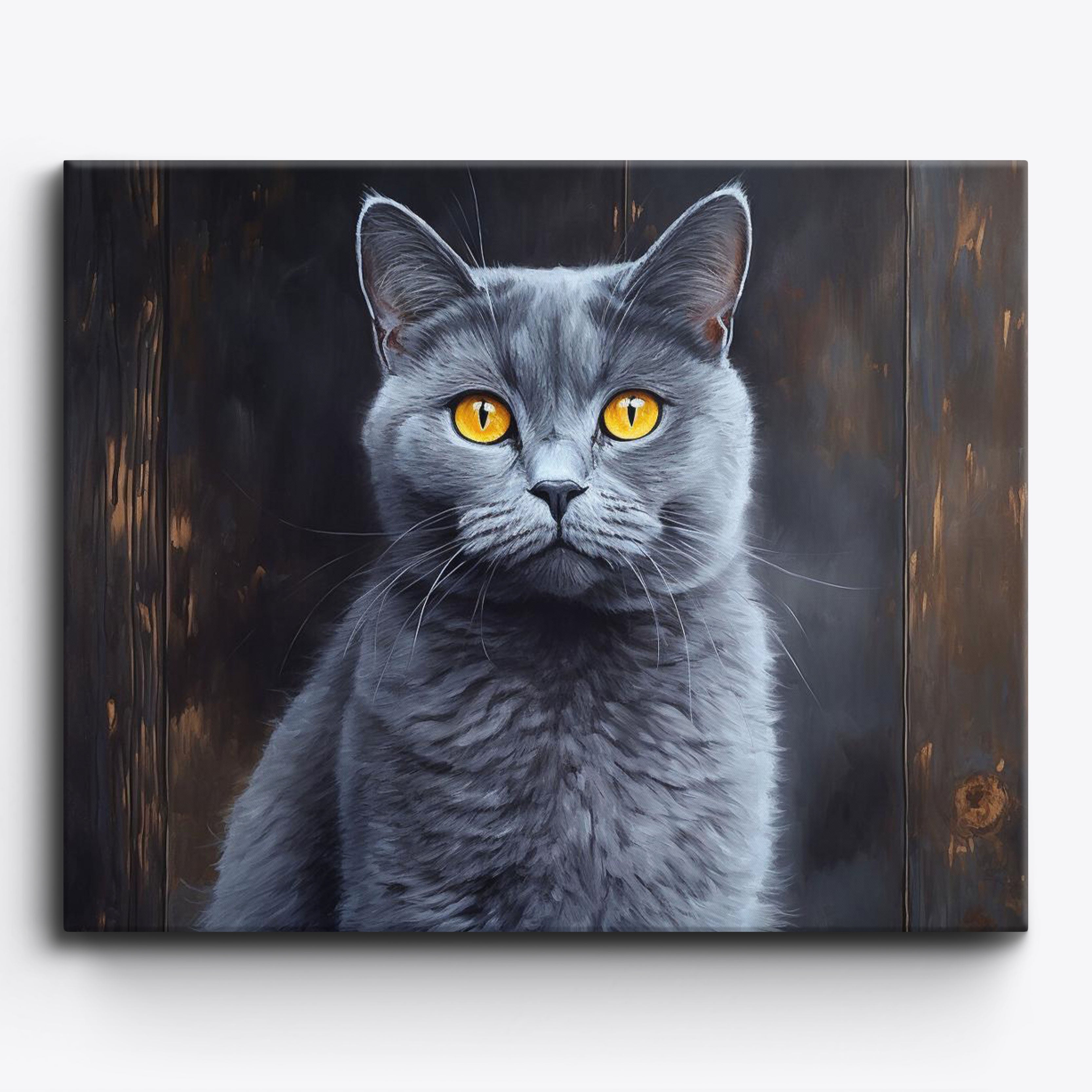 Chartreux Shorthair No Frame